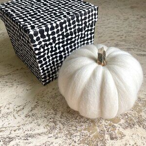 Wool Felted White Pumpkin - Autumn / Fall / Halloween Decor with Gift Box